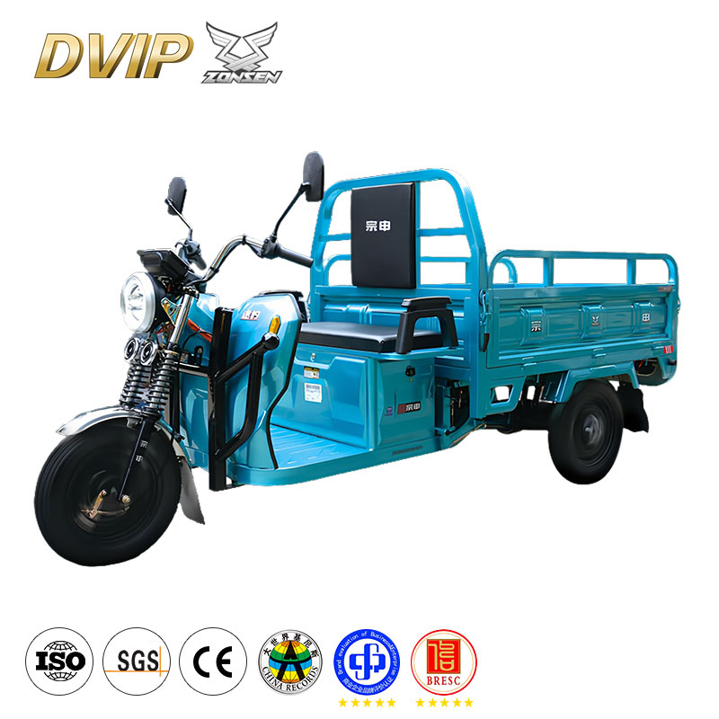 Adult Three-Wheeled Cargo Electric Vehicle
