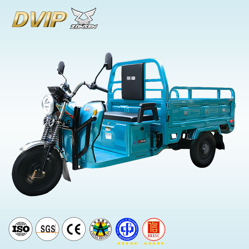 Adult Three-Wheeled Cargo Electric Vehicle