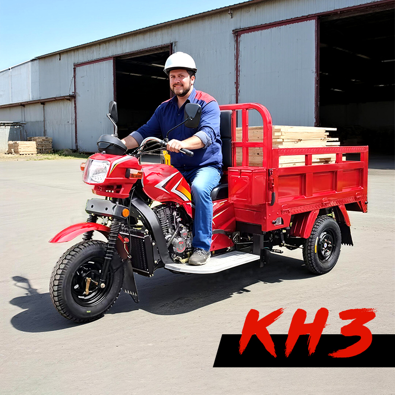Fuel-Powered Three-Wheeled Cargo Truck