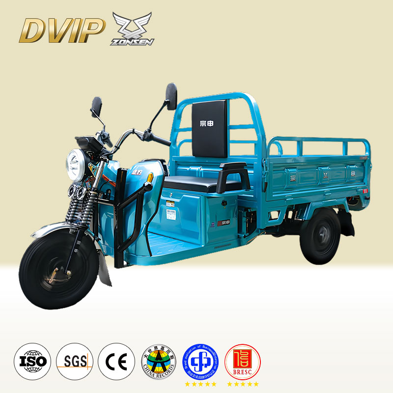 Adult Three-Wheeled Cargo Electric Vehicle