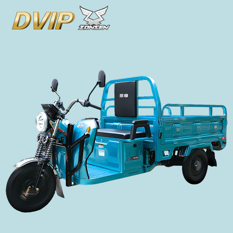 Adult Three-Wheeled Cargo Electric Vehicle