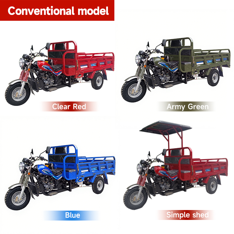 Fuel-Powered Cargo Tricycle