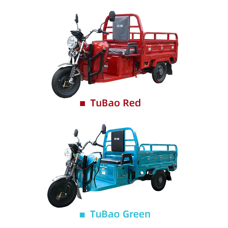 Adult Three-Wheeled Cargo Electric Vehicle