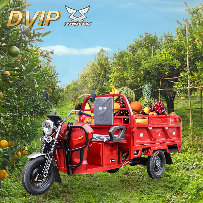 Electric Freight Tricycle