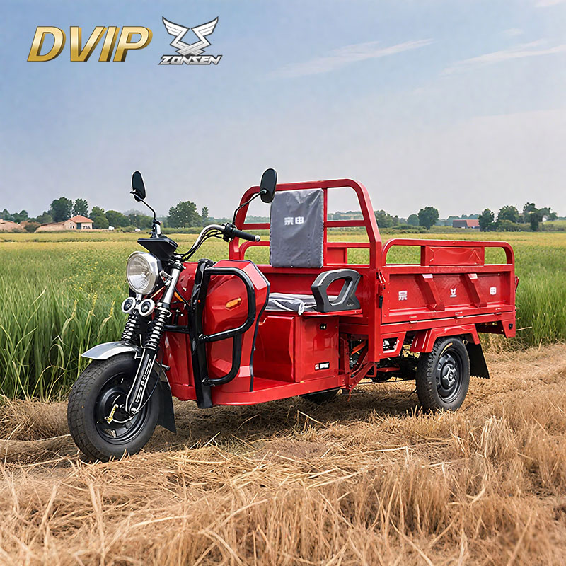 Electric Freight Tricycle