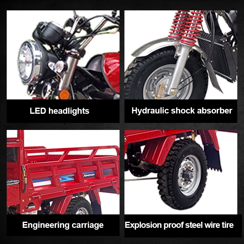 Fuel-Powered Cargo Tricycle