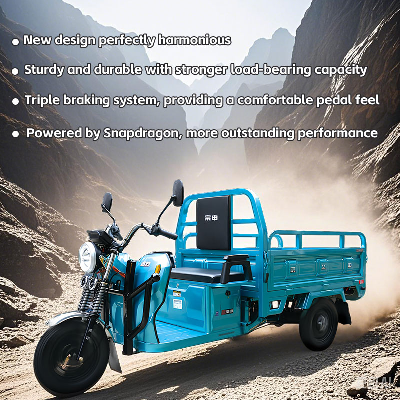 Adult Three-Wheeled Cargo Electric Vehicle