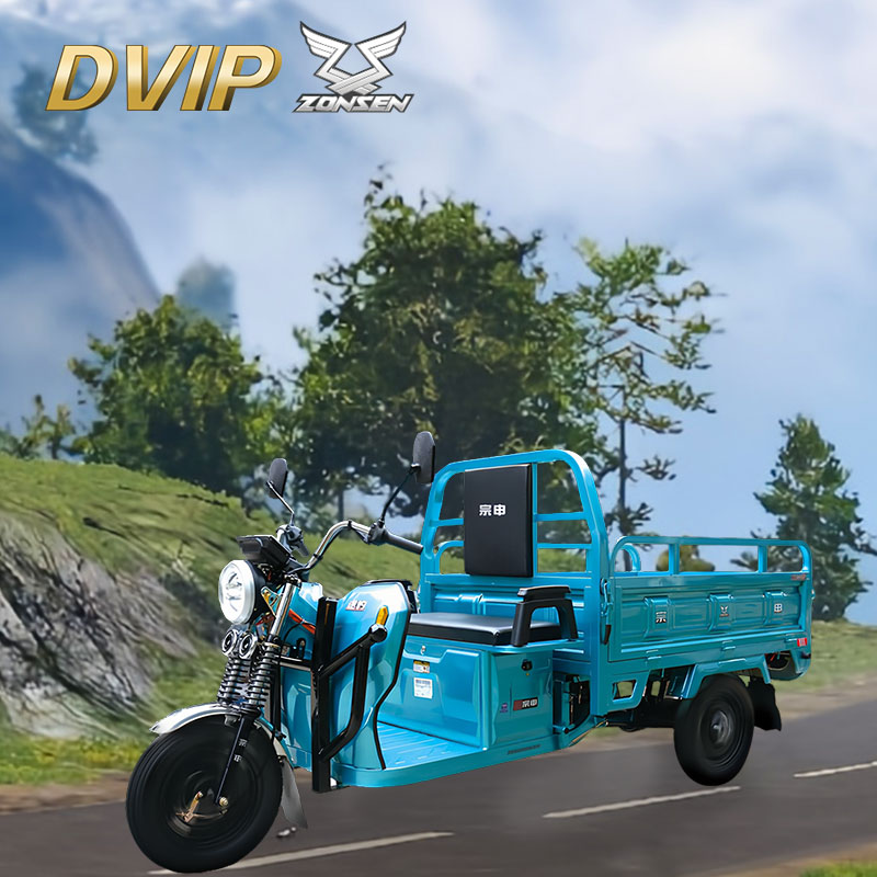 Adult Three-Wheeled Cargo Electric Vehicle