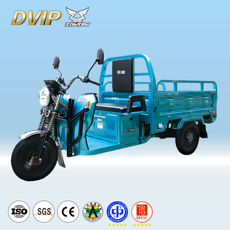 Adult Three-Wheeled Cargo Electric Vehicle